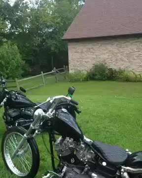Lavare la moto con il cane che salta