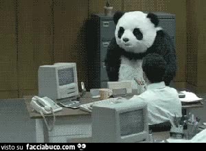 gif animata