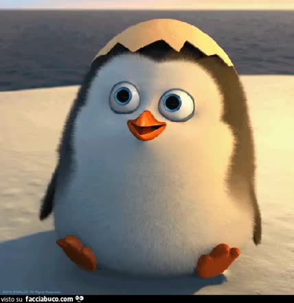 gif animata