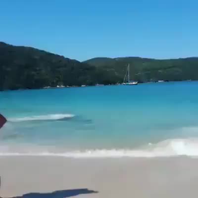 gif animata