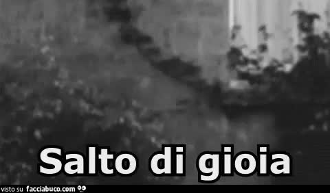 gif animata