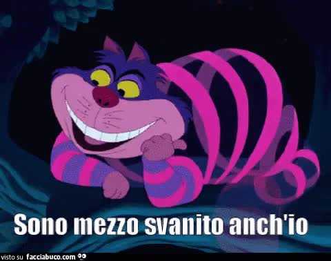 gif animata