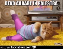 gif animata
