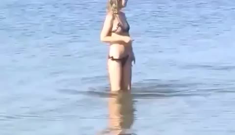 gif animata