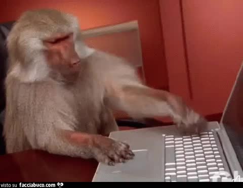 gif animata