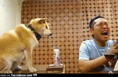 gif animata