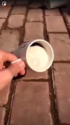 gif animata