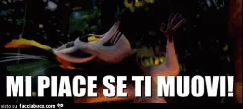 gif animata