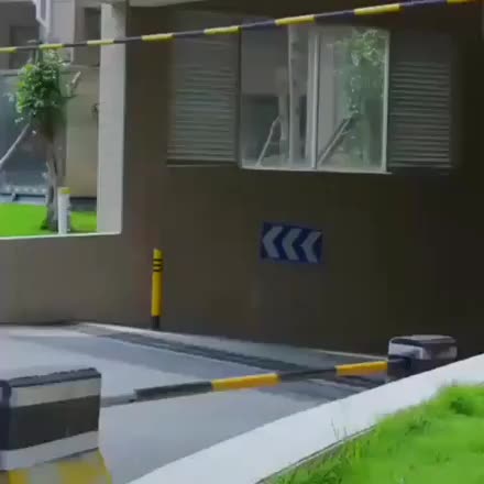 gif animata