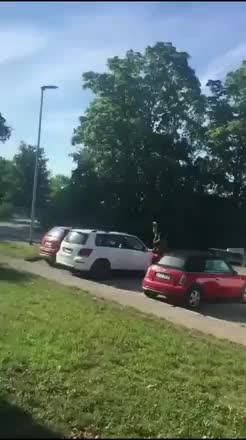 Immigrato che distrugge auto parcheggiate
