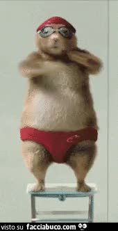 gif animata