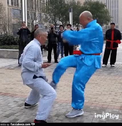 gif animata