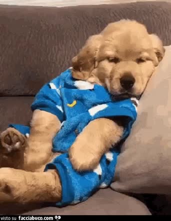 Gif Animata