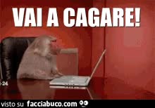 gif animata