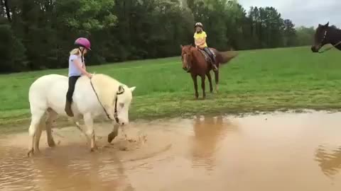 Cavallo fa il bagno nel fango